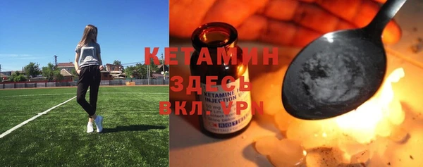 молекула духа Арсеньев