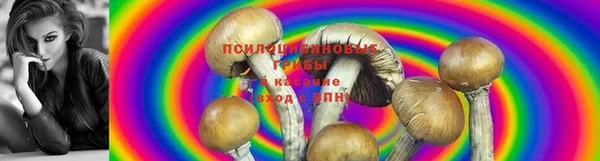 наркотики Аркадак