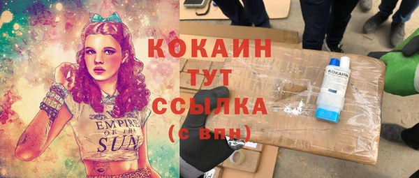 индика Алексин
