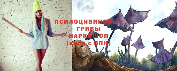 молекула духа Арсеньев