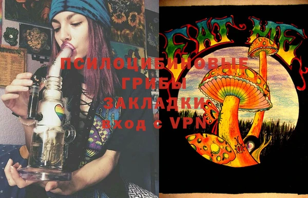молекула духа Арсеньев