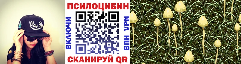 наркота  Асбест  Псилоцибиновые грибы мухоморы 