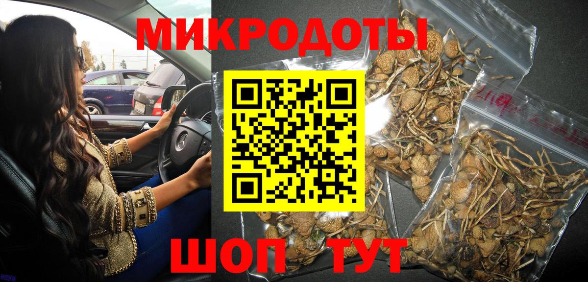 Галлюциногенные грибы Psilocybe  Вход с VPN  где можно купить наркотик  Асбест 
