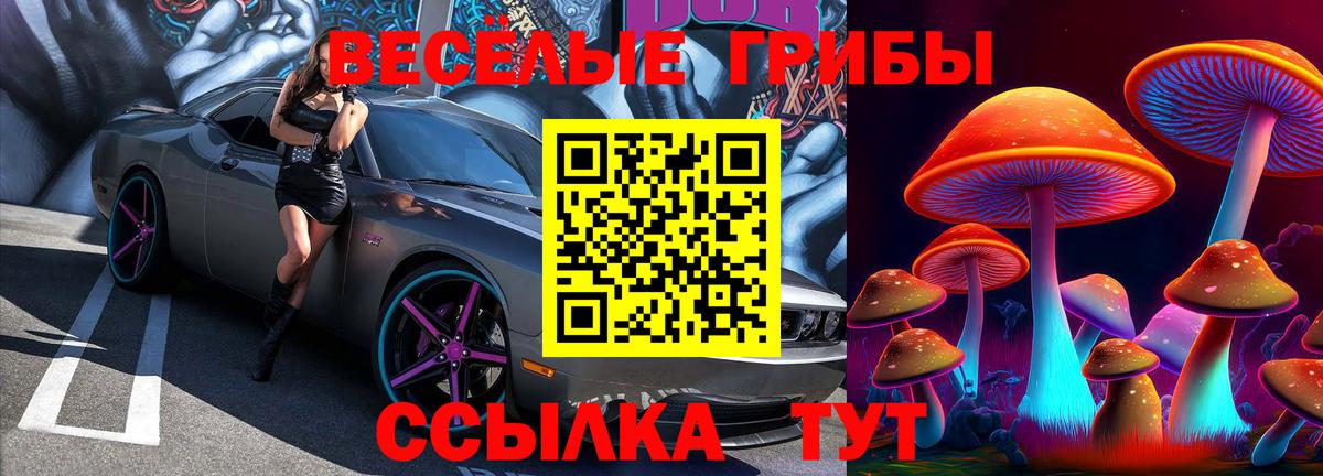 Псилоцибиновые грибы MAGIC MUSHROOMS Асбест